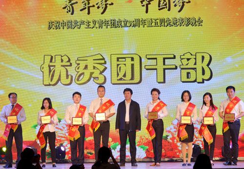 2017年“五四”表彰——王玮老师被评为“优秀团干部”